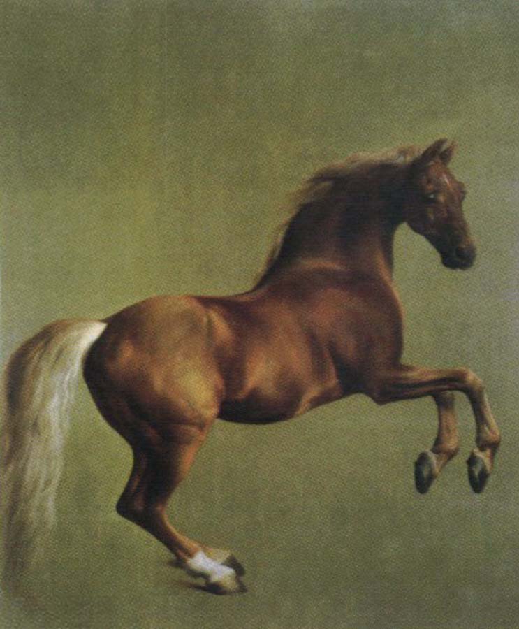 whistlejacket